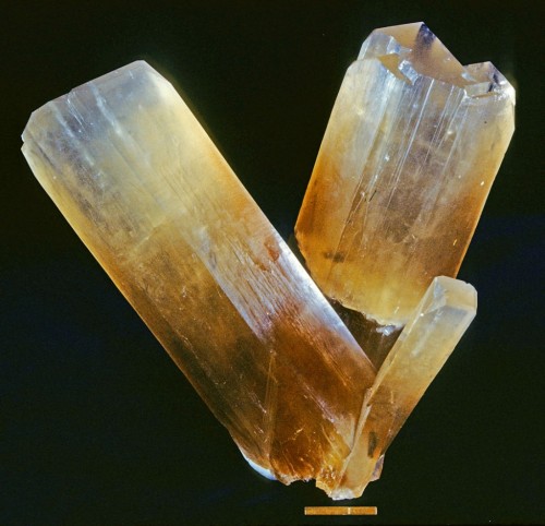 Photograph of Borax from Wikipedia, showing amber, stubby prismatic crystals. The credit line from Wikipedia reads: "Locality: U.S. Borax open pit (Boron pit), U.S. Borax Mine (Pacific West Coast Borax; Pacific Coast Borax Co.; Boron Mine; U.S. Borax and Chemical Corp.; Kramer Mine; Baker Mine), Kramer Borate deposit, Boron, Kramer District, Kern Co., California, USA Borax crystals. J. Minette collection. Scale at bottom of image is one inch with a rule at one cm."