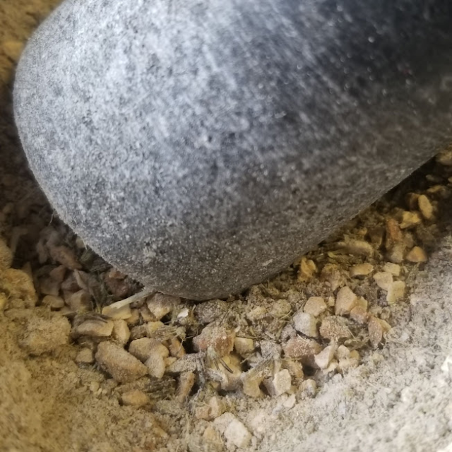 Close up of the bowl of a mortar filled with ground powder and what appears to be several small unbroken lumps of wood (but which are in fact dried orrisroot). A pestle rests against these lumps, sad and forlorn.