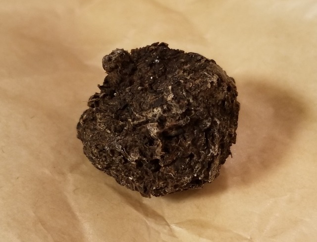 A closeup photograph of an extremely brown, knobbly, fecal-looking dry sphere.