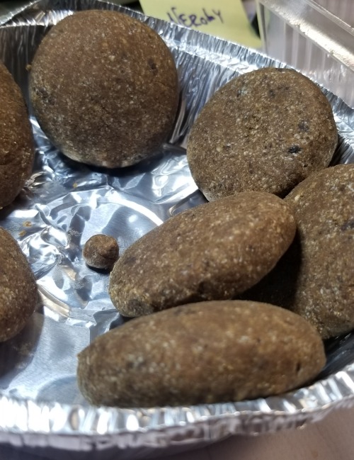 Close-up photograph of flattened brown disks, about a centimeter thick and 1.5 inches wide that look (in real life) similar to spice cookies or (in photographs) falafel.
