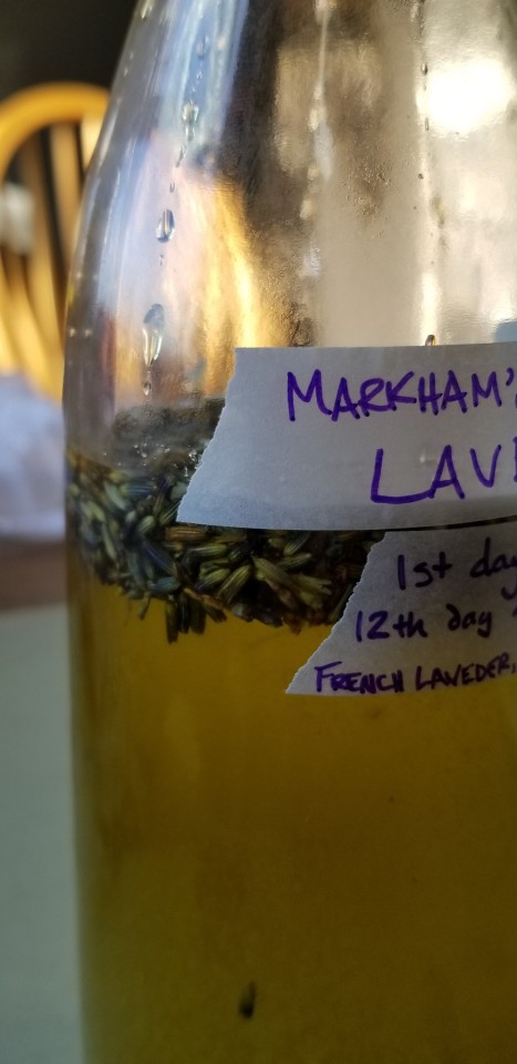 Photograph of a now full glass bottle, containing olive oil and what about an inch worth of floating dried lavender flowers.