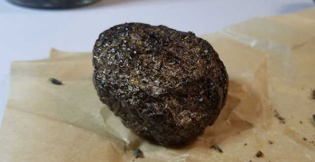 A closeup photograph of an extremely brown, knobbly, SHINY sphere of what very, VERY much looks like a lump of shit.