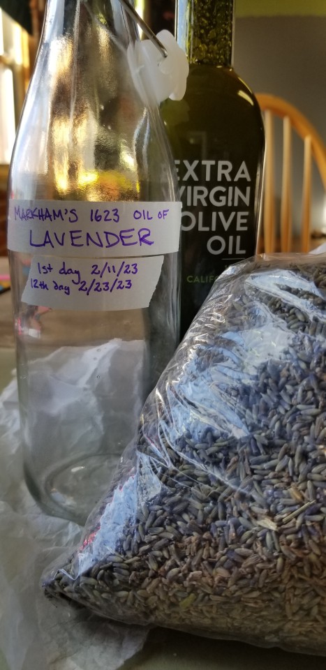 Photograph of a large bag of dried lavender flowers, a full bottle of extra virgin olive oil, and an empty glass bottle with a clasp on top labeled with the date and the soon-to-be-made contents: Oil of Lavender, from a 1623 recipe.